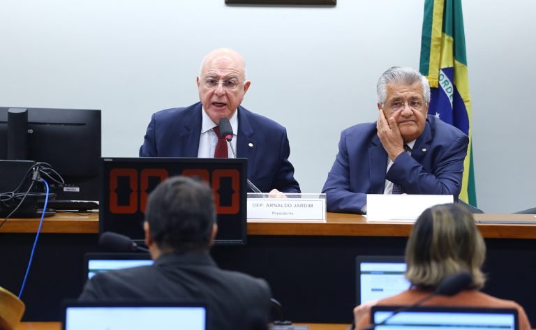 Deputados Arnaldo Jardim (Cidadania-SP) e Bacelar (PV-BA) em audiência pública da comissão especial