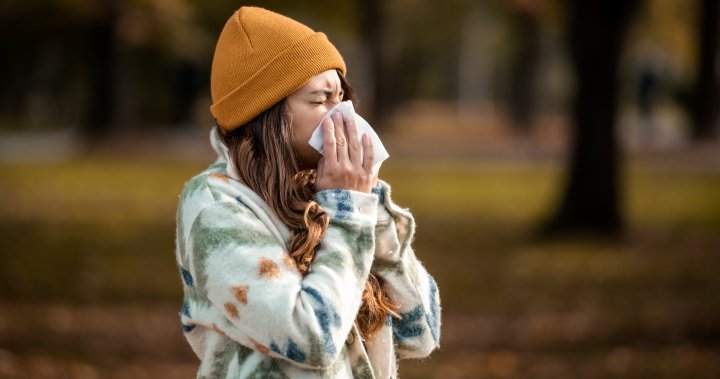 How bad could allergies get this fall? What Canadians can expect - National