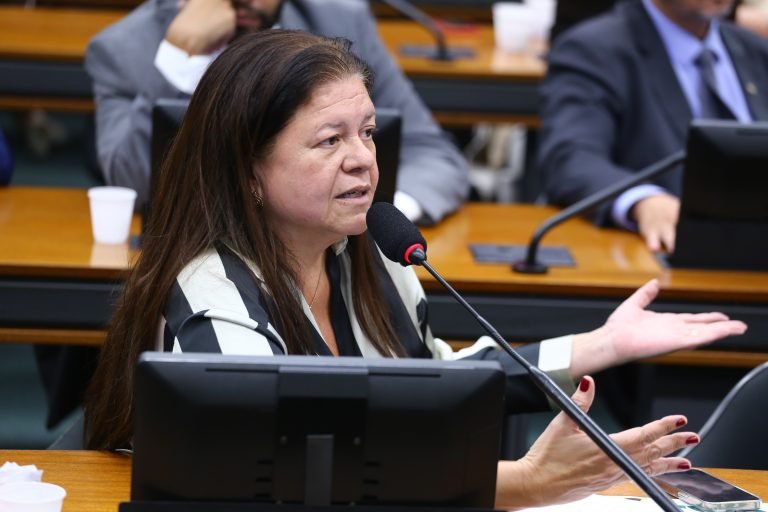 Deputada Laura Carneiro (PSD-RJ) fala em comissão na Câmara dos Deputados