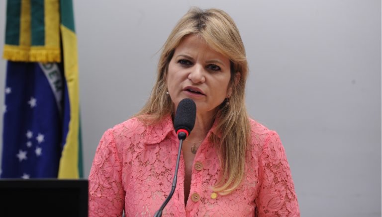 Flávia Morais fala durante reunião de comissão