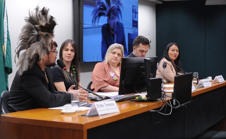 Audiência Pública - COP 28 e a proteção dos biomas brasileiros