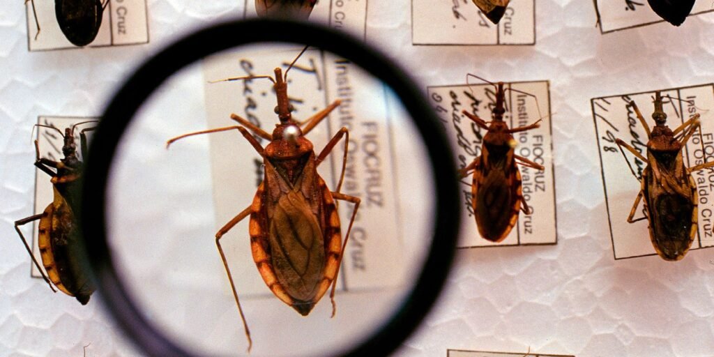 Plataforma pretende reunir pesquisas sobre a Doença de Chagas
