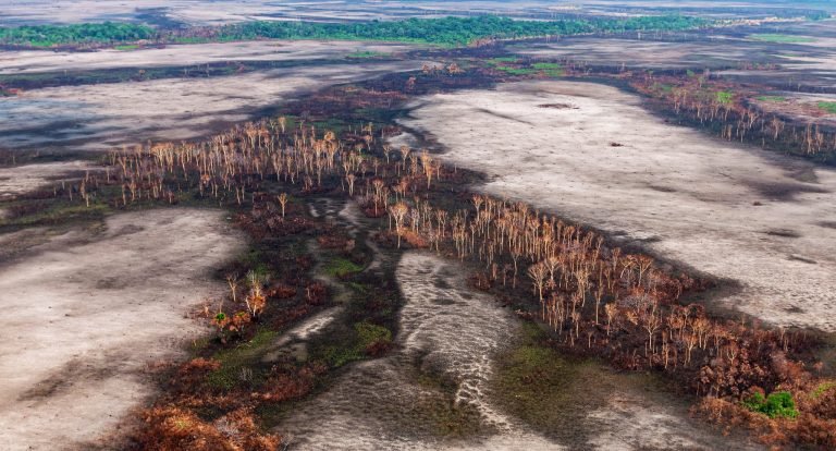 Meio Ambiente - queimada e desmatamento - Amazônia florestas destruição desmatadores preservação ambiental aquecimento global bioma amazônico (Operação Verde Brasil em Rondônia)