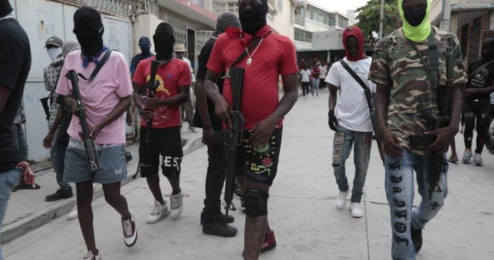 UN approves international mission to Haiti to counter gang violence - National