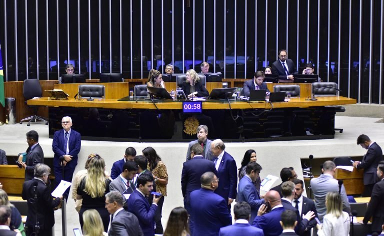 Discussão e votação de propostas. Dep. Talíria Petrone(PSOL - RJ) e a dep. Maria do Rosário (PT - RS)