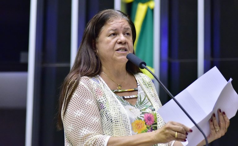 Deputada Laura Carneiro (PSD-RJ) fala no Plenário da Câmara dos Deputados