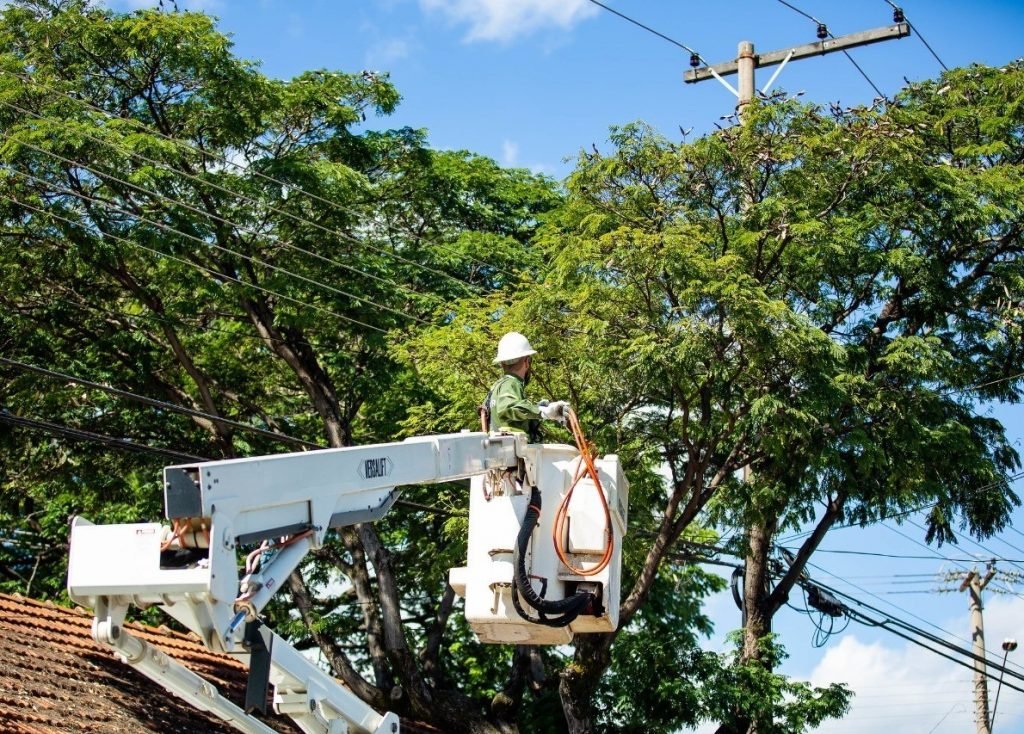 Serviços de podas de árvores acontecem nos bairros Portal do Sol e Manaíra