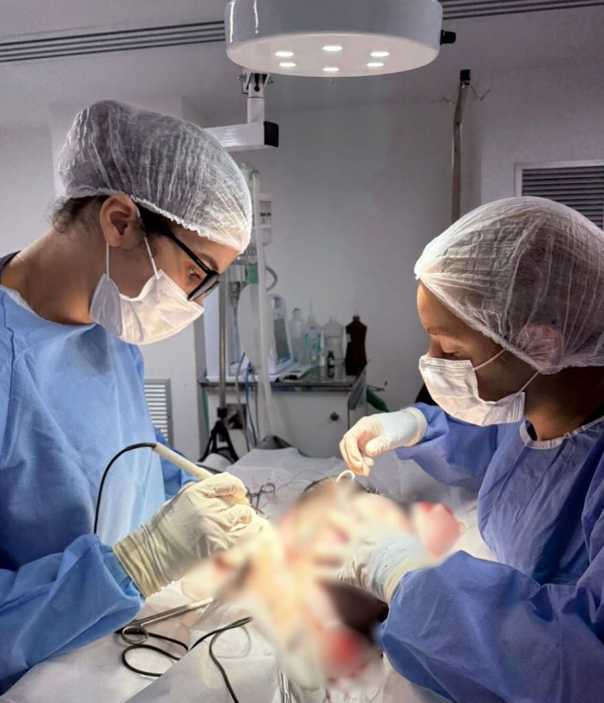 Prefeitura alerta sobre a prevenção e oferece procedimentos contra o câncer de mama em animais