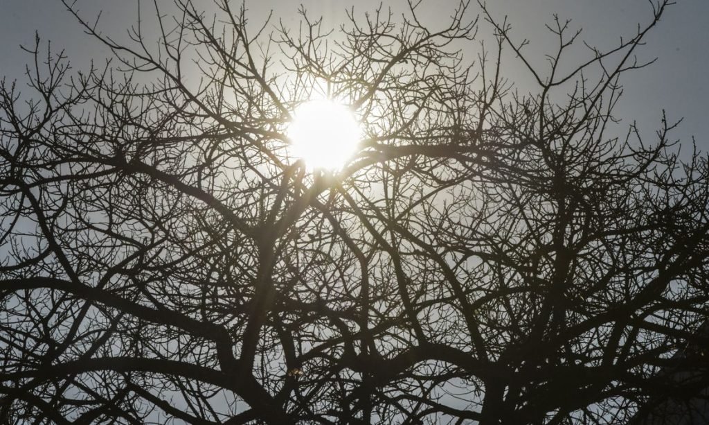 Verão 2025/2026 começa em dezembro com calor intenso e chuvas frequentes