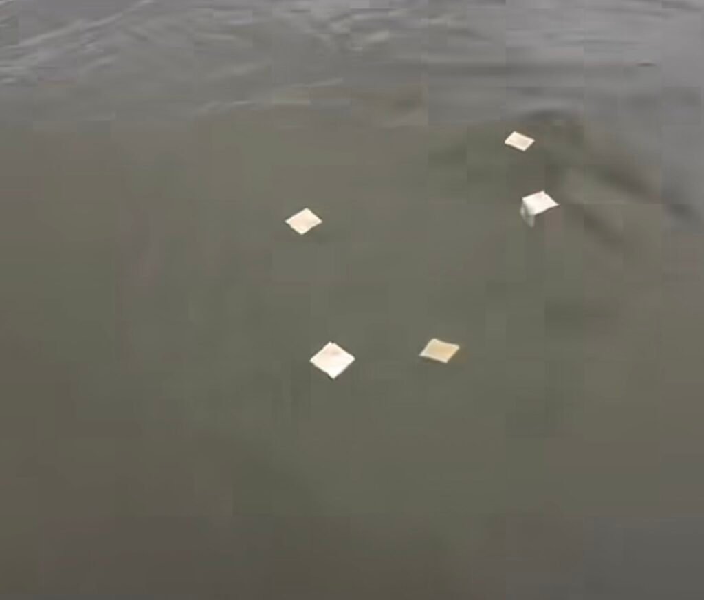 Cédulas de R$ 50 são encontradas boiando nas águas do Rio Paraíba, próximo à obra da ponte de Lucena