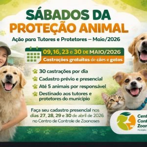 Prefeitura inicia cadastro para castração de cães e gatos no Centro de Controle de Zoonoses
