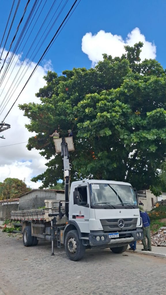 Sedurb realiza podas de árvores nos Bancários, Rangel e Valentina nesta sexta-feira