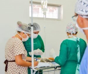 Prefeitura inicia cirurgias de castração de cães e gatos no Centro de Controle de Zoonozes