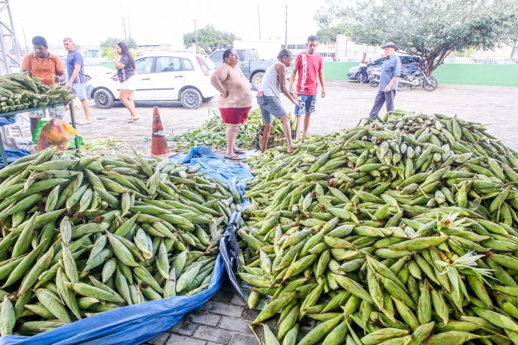 Feira da Cecaf terá milho verde durante as quintas-feiras e sábados do mês de junho