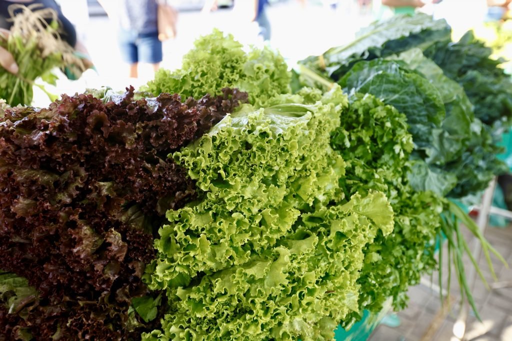 Prefeitura divulga programação da Feira da Agricultura Familiar no mês de setembro