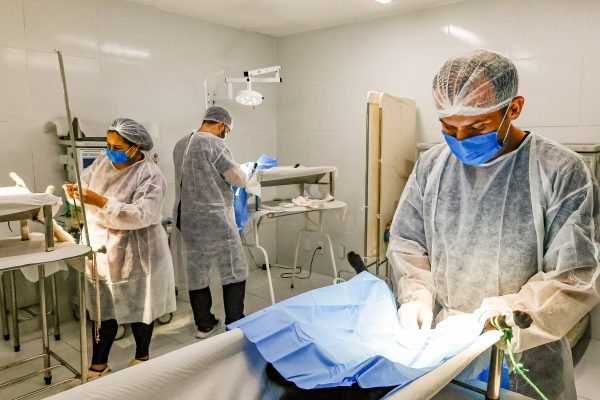 Prefeitura inscreve para nova edição dos ‘Sábados da Proteção Animal’